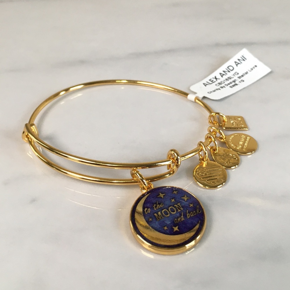 Alex and Ani Stellar Love Charity Design Bracelet - Picture 4 of 10
